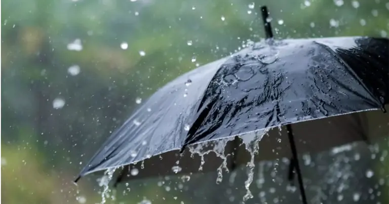 বৃষ্টিতে খোলা ছাতা